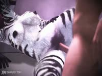 Female furry zoo zebra getting penetrated by a man's dick
